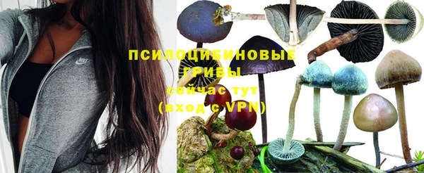наркотики Покров